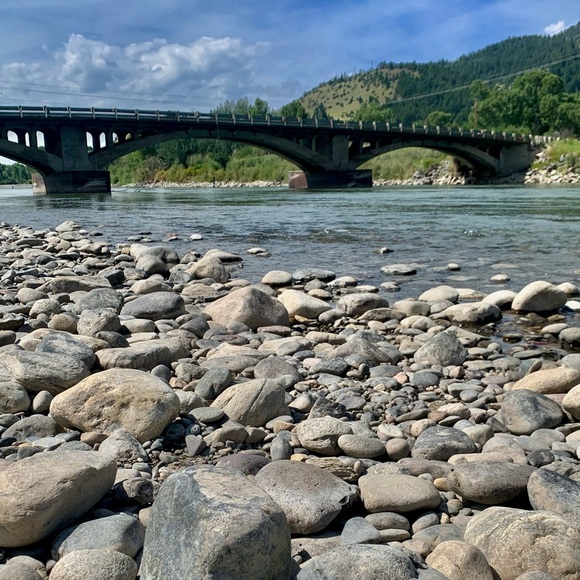 Meet your Posher, Taylor - Picture 1 of 1